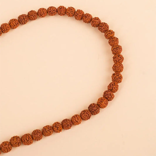 The Importance of Rudraksha: Explained