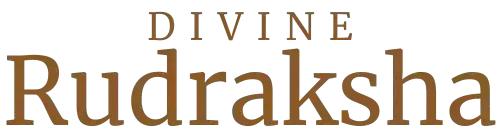 Divine-Rudraksha-logo